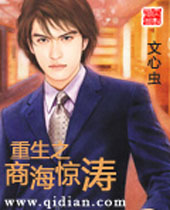 重生之商海惊涛封面