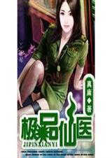极品仙医封面