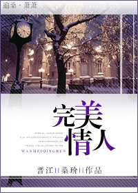 完美情人封面