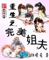 重生之完美姐夫封面