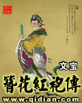 簪花红袍传 簪花红袍传