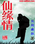 仙缘情封面