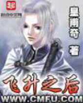 飞升之后 飞升之后