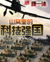 山窝里的科技强国封面