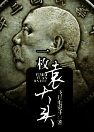 一枚袁大头 一枚袁大头