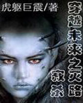 大未来之寂灭杀路封面