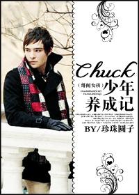 (绯闻女孩)Chuck 少年养成记封面