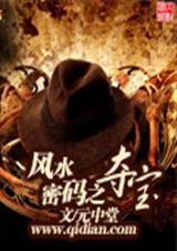 风水密码之夺宝封面