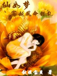 仙如梦穿越夙命错乱封面