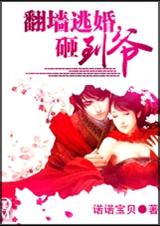 翻墙逃婚,砸到爷封面