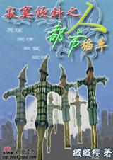 寂寞倾斜之都市稻草人封面