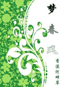 梦春风封面