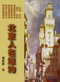 北京人在纽约封面