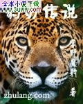 豹刃传说 豹刃传说