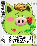 看猪成陛 看猪成陛