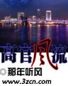 高官风流封面