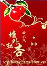 墙外红杏()封面