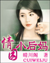 情困小后妈封面