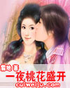 一夜桃花盛开封面