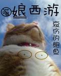 娘西游封面