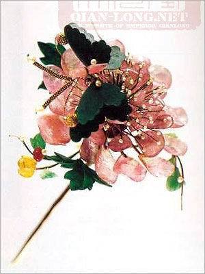 当你踏入清朝封面