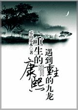 重生的康熙遇到重生的九龙封面