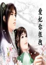 爱妃你很拽封面