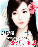 总裁的古代小娇妻封面