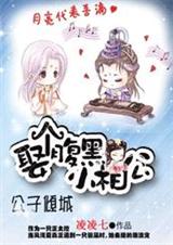 公子倾城:娶个腹黑小相公(完结) 公子倾城:娶个腹黑小相公(完结)