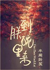 到朕碗里来封面