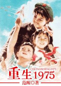 重生1975封面