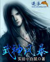 武神风暴 武神风暴