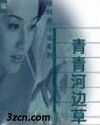 青青河边草封面