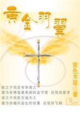 黄金羽翼(父子文)封面