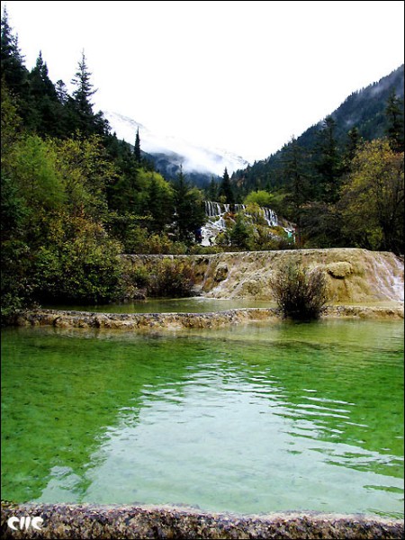 情不自禁1 情不自禁1