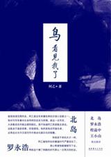 鸟,看见我了封面