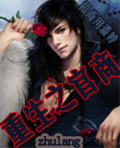 重生之官商 重生之官商