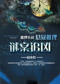 谜案追凶封面