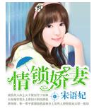 情锁娇妻封面