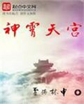 神霄天宫封面