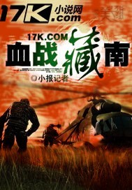 血战藏南 血战藏南