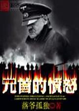 元首的愤怒封面