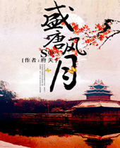 盛唐风月 盛唐风月