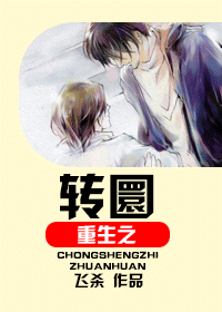 重生之转圜封面