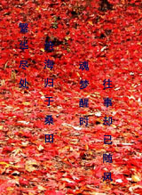 ������������