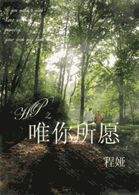 hp之唯你所愿封面