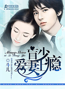 盲少爱妻上瘾封面