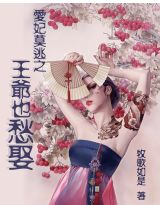 爱妻莫逃之王爷也愁娶封面