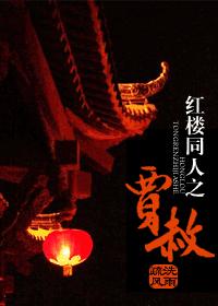 红楼同人之贾赦封面