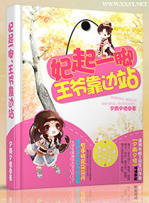 妃起一脚,王爷靠边站封面